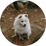 ang성우 profile image