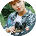 윙윙바라하에리 profile image