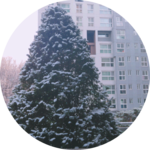 수냥이 profile image