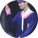 박태리 profile image