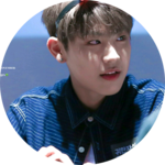 참새우징 profile image