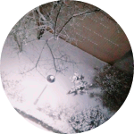 ARMY다 profile image