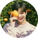 옹이녤이 profile image