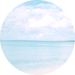 연대니 profile image