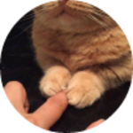 잠깐세봉아 profile image