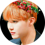 잘생긴설탕에찍어먹는잘생긴호떡 profile image