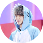 방탄비투비워너원최애 profile image