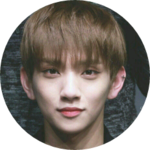 민트초꼬캐럿너울 profile image