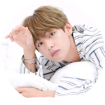 하얀양말 profile image