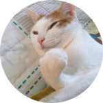 윤도님 profile image