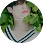 다무하 profile image
