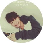 아미너블캐럿로하's profile image