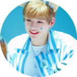 완벽하다녤 profile image