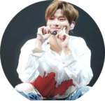 녤깅이바라기 profile image