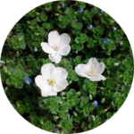 앵무새 profile image