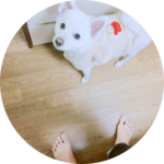 파괴몬자까 profile image