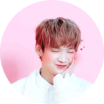 키노피오 profile image