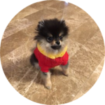 잡덕져아져아 profile image