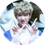 세븐틴서명호사랑해 profile image