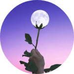 낭랑아미챙 profile image