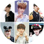 참외 profile image