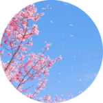 Staranise profile image