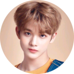 배지뇽 profile image