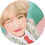 태태한테인생올인 profile image