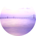 사랑 profile image