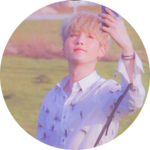 보만이 profile image