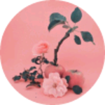 Kellyha profile image