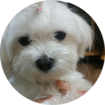 아미나현 profile image