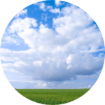 청명 profile image