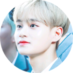 곤어 profile image
