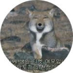 설탕거머리 profile image