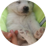 녹차민트초코라떼 profile image