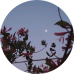 보해 profile image