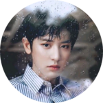로로자까 profile image