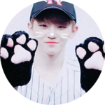 매일팬픽보는캐럿 profile image