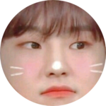 세븐틴사랑할께더많이 profile image