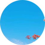 sodatwins profile image