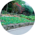 둘셋넷 profile image