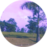 방타니들바라기 profile image