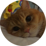 냥냐양 profile image