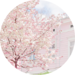 핑크베리 profile image