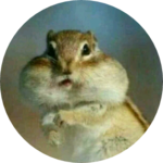 E은설S profile image