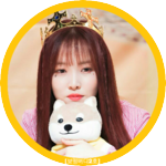 보떵공룡 profile image