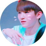 햄찌보보's profile image