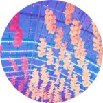 워너원방탄사루메 profile image