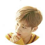 률셰리는대휘를사랑해 profile image